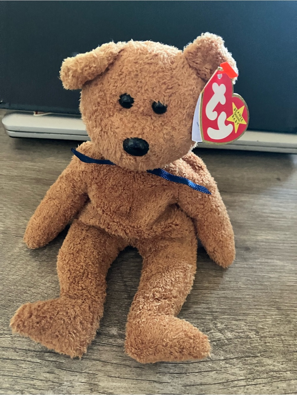 Ty Beanie Baby Fuzz